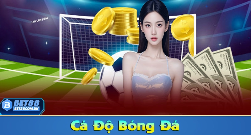 Cá độ bóng đá online